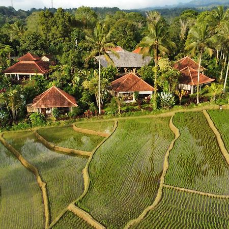 Sava Eco Retreat Hotel Padangan  Luaran gambar