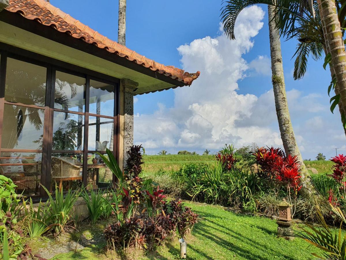 Sava Eco Retreat Hotel Padangan  Luaran gambar