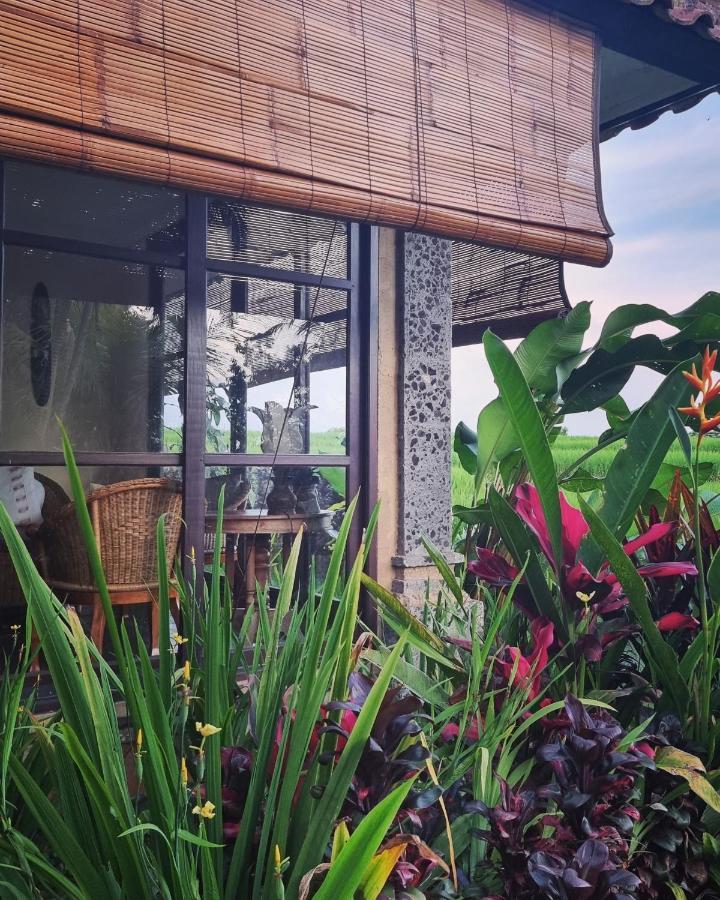 Sava Eco Retreat Hotel Padangan  Luaran gambar