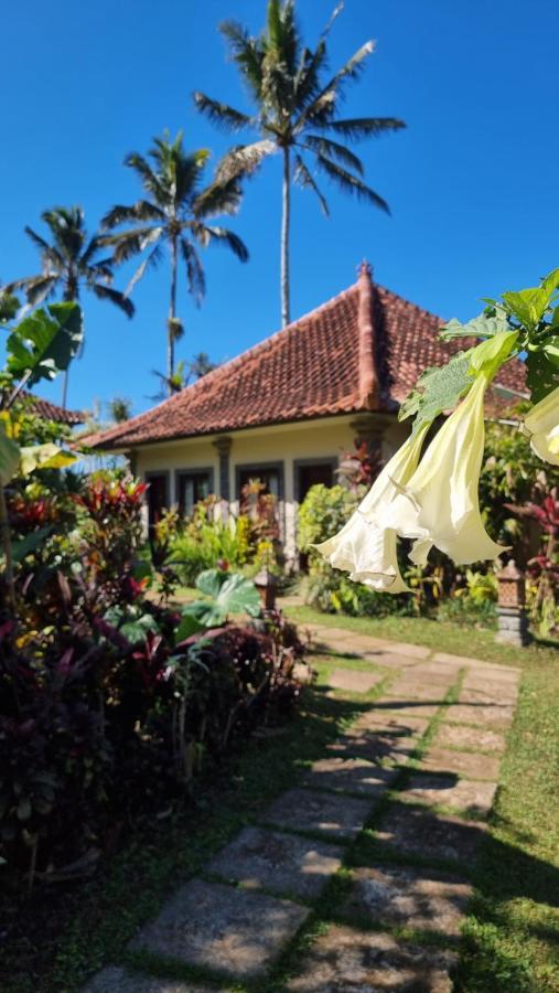 Sava Eco Retreat Hotel Padangan  Luaran gambar