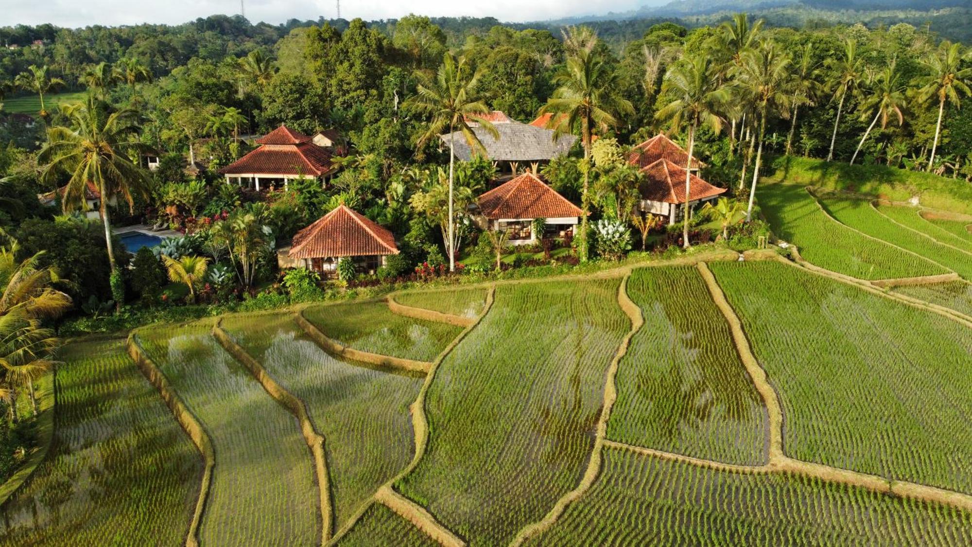 Sava Eco Retreat Hotel Padangan  Luaran gambar